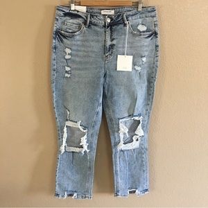 Lovervet by Vervet Plus Size Light Wash Denim High Rise Straight Blue Jeans